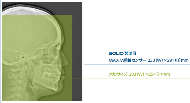 六切サイズ 203(W)×254(H)mm
